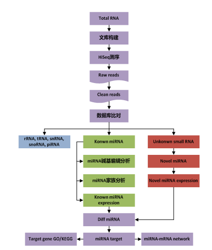 smallRNA 測(cè)序數(shù)據(jù)分析