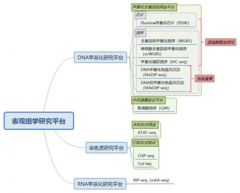  伯豪生物表觀遺傳學(xué)研究平臺(tái)簡(jiǎn)介圖 