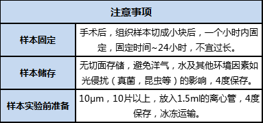 FFPE 樣本準備、儲存及運輸