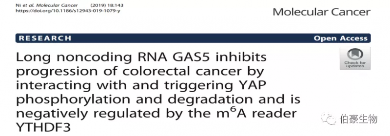 RNA 甲基化測序 m6a 甲基化測序 伯豪生物甲基化服務客戶發文
