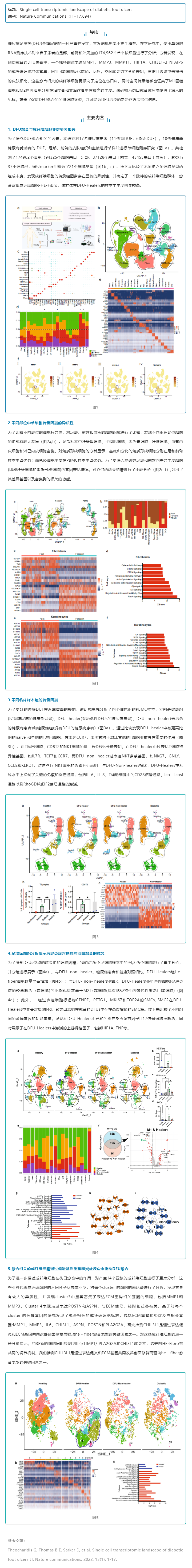 文獻解讀_糖尿病足潰瘍的單細胞轉錄圖譜