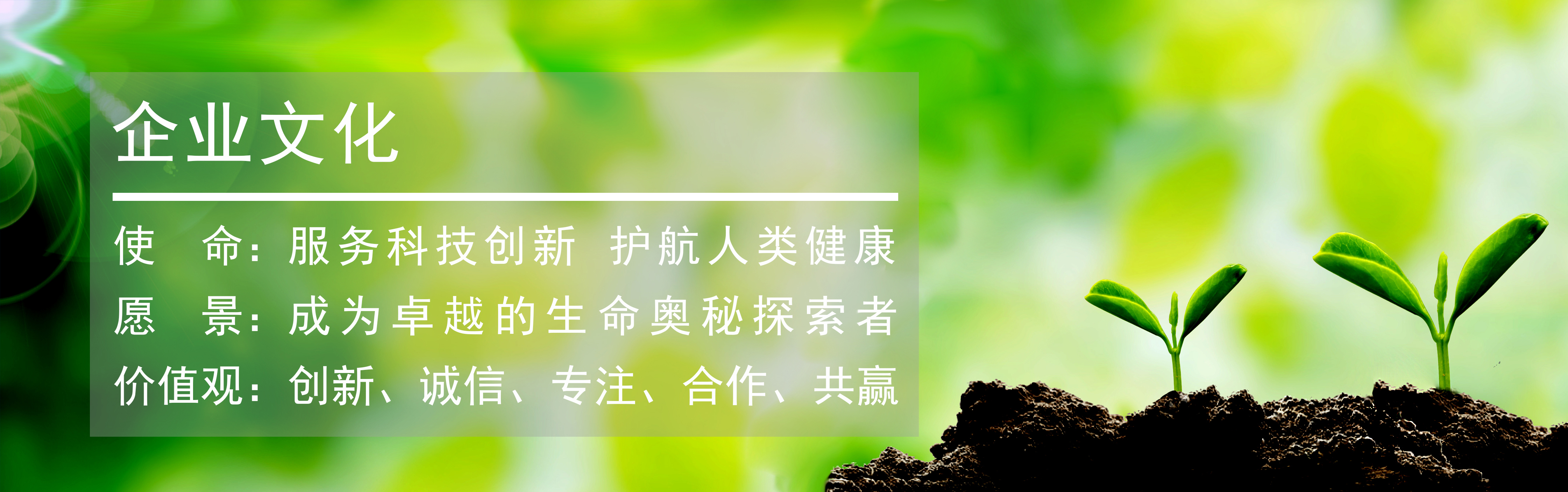 伯豪生物企業(yè)文化茁壯生長(zhǎng)