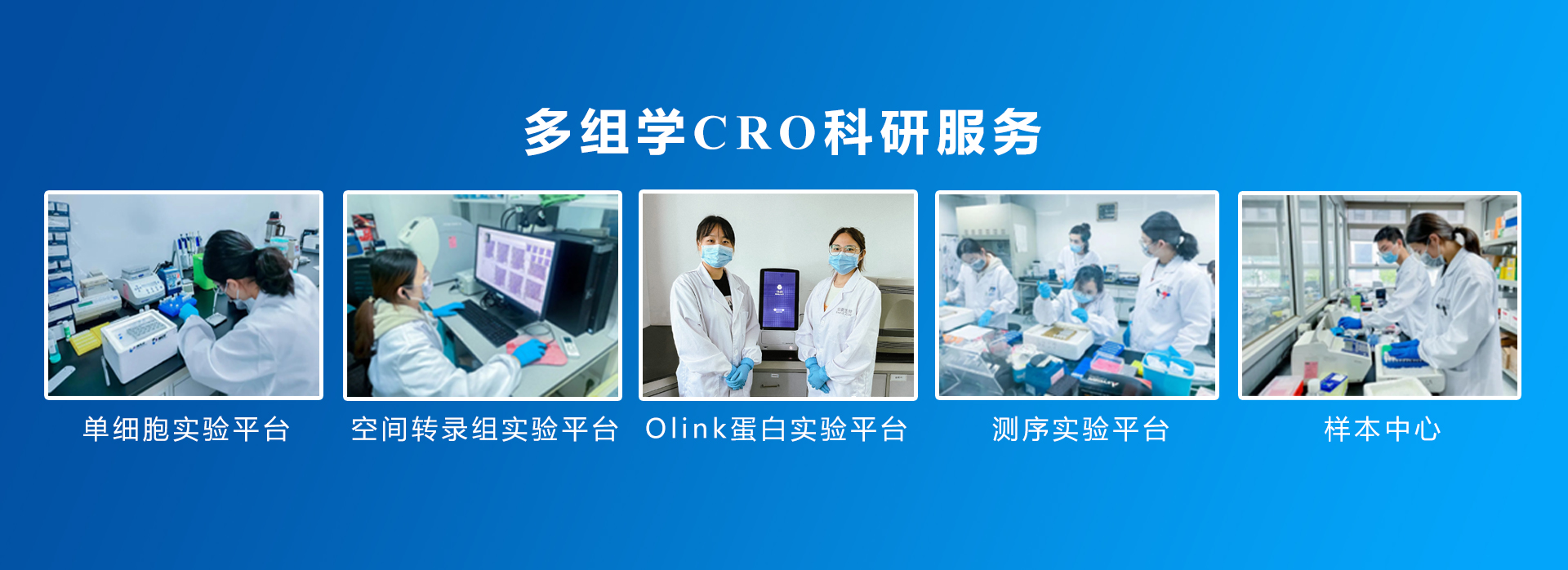 伯豪生物 CRO 服務(wù)內(nèi)容