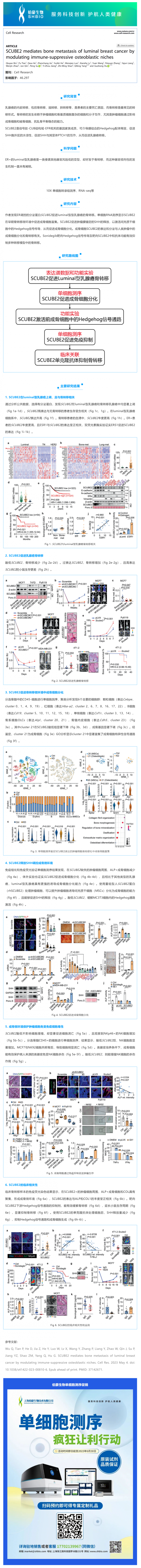 單細胞項目文章 _ SCUBE2 調(diào)控免疫抑制的成骨細胞微環(huán)境介導(dǎo) luminal 型乳腺癌的骨轉(zhuǎn)移