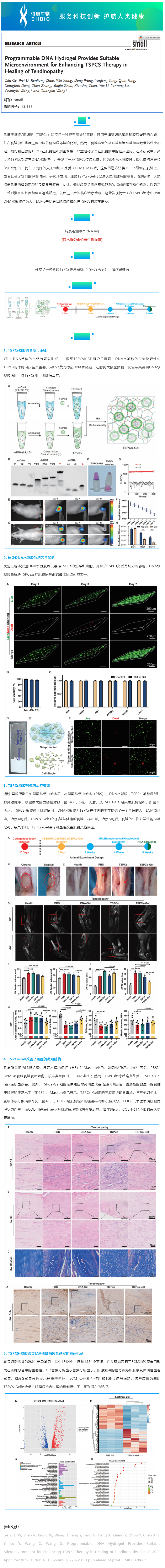 06-19 mRNAseq 項目文章_ 可編程 DNA 水凝膠為增強 TSPCs 治療肌腱病的愈合提供了合適的微環境副本