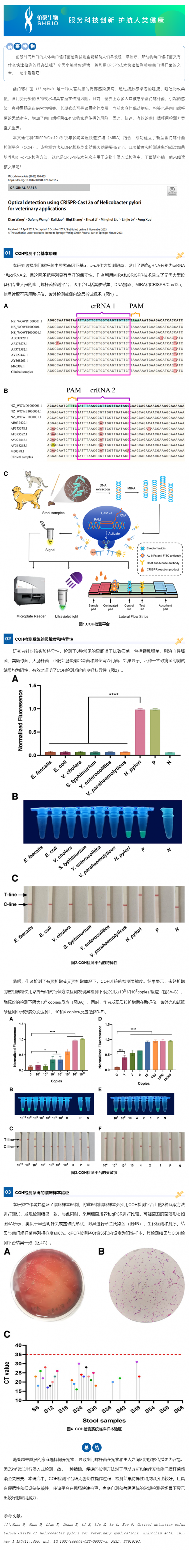 CRISPR 智庫 _ CRISPR 關注寵物健康——人畜共患幽門螺桿菌現場快速檢