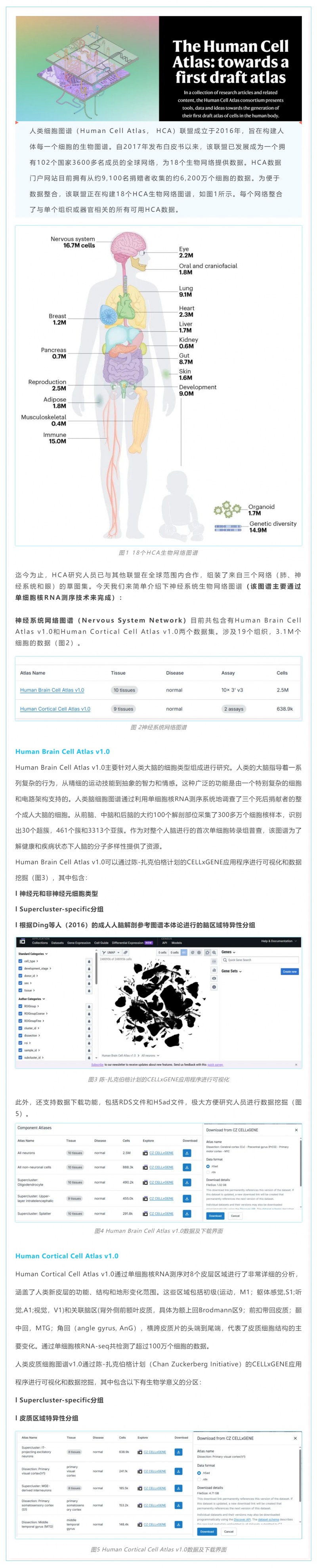 人類細胞圖譜計劃草圖第一版完成——神經系統細胞圖譜