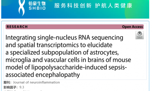 華大 DNBelab C 系列 | 單核 RNA 測序聯合空間轉錄組學揭示脂多糖致膿毒癥腦病小鼠模型膠質細胞和血管細胞特殊亞群