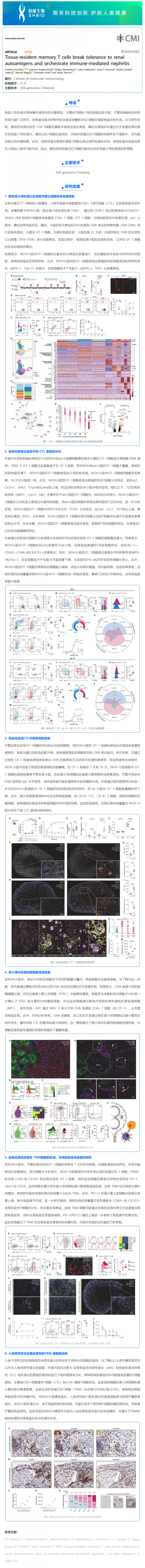 文獻解讀 _ 組織駐留記憶 T 細胞參與免疫介導的腎炎