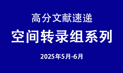 高分文獻速遞 | 空間轉錄組系列（5- 6 月）